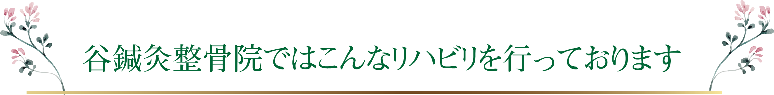谷鍼灸整骨院ではこんなリハビリを行っております